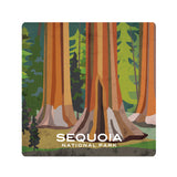 California National Parks Coaster Set